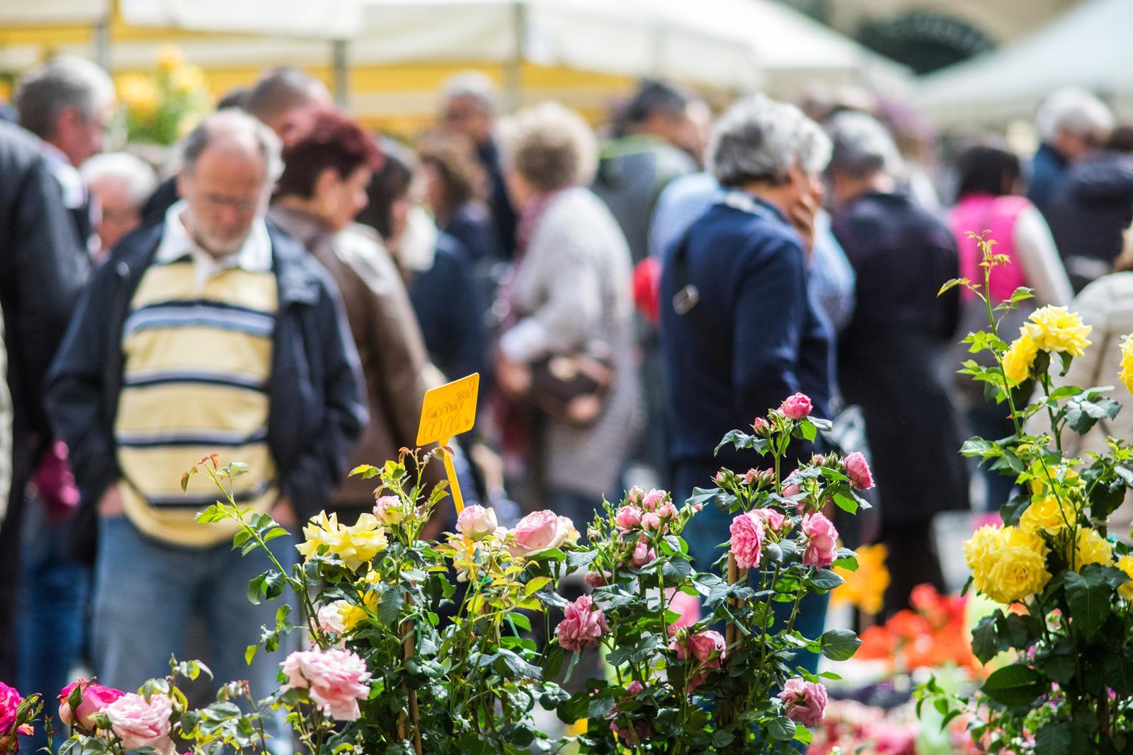 fiere promozionali