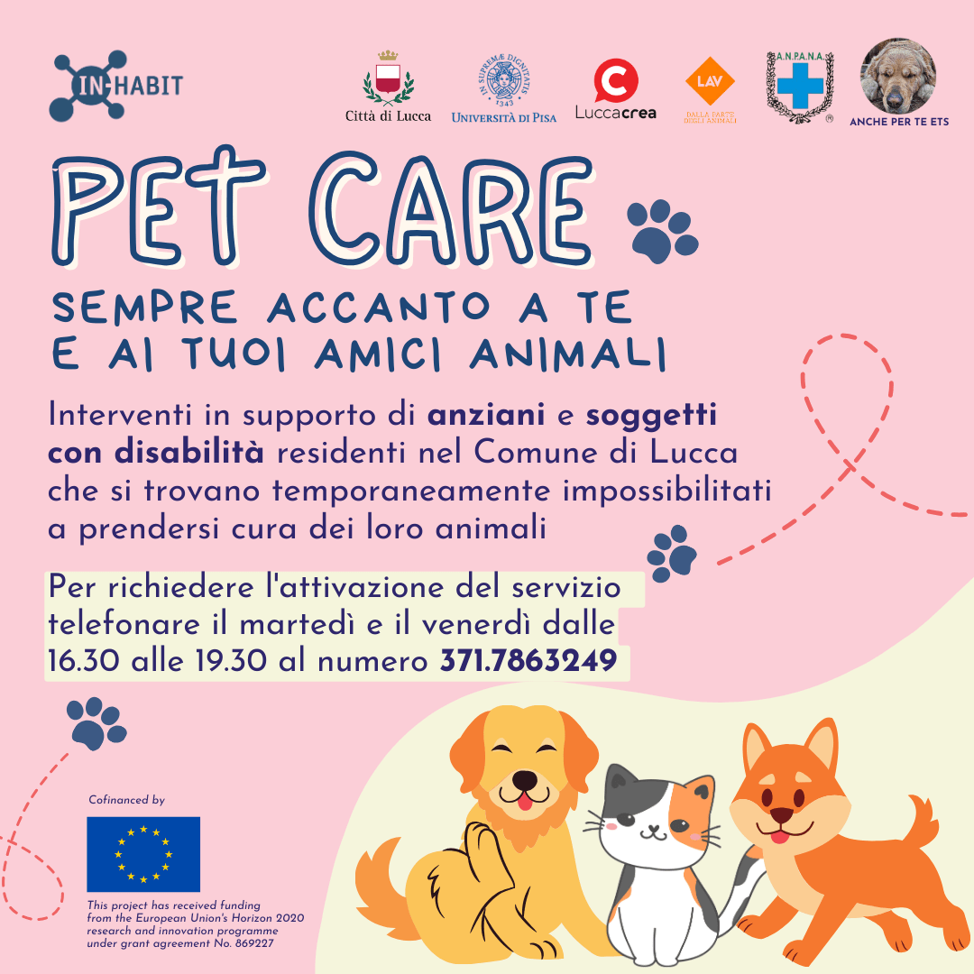 grafica pet-care3