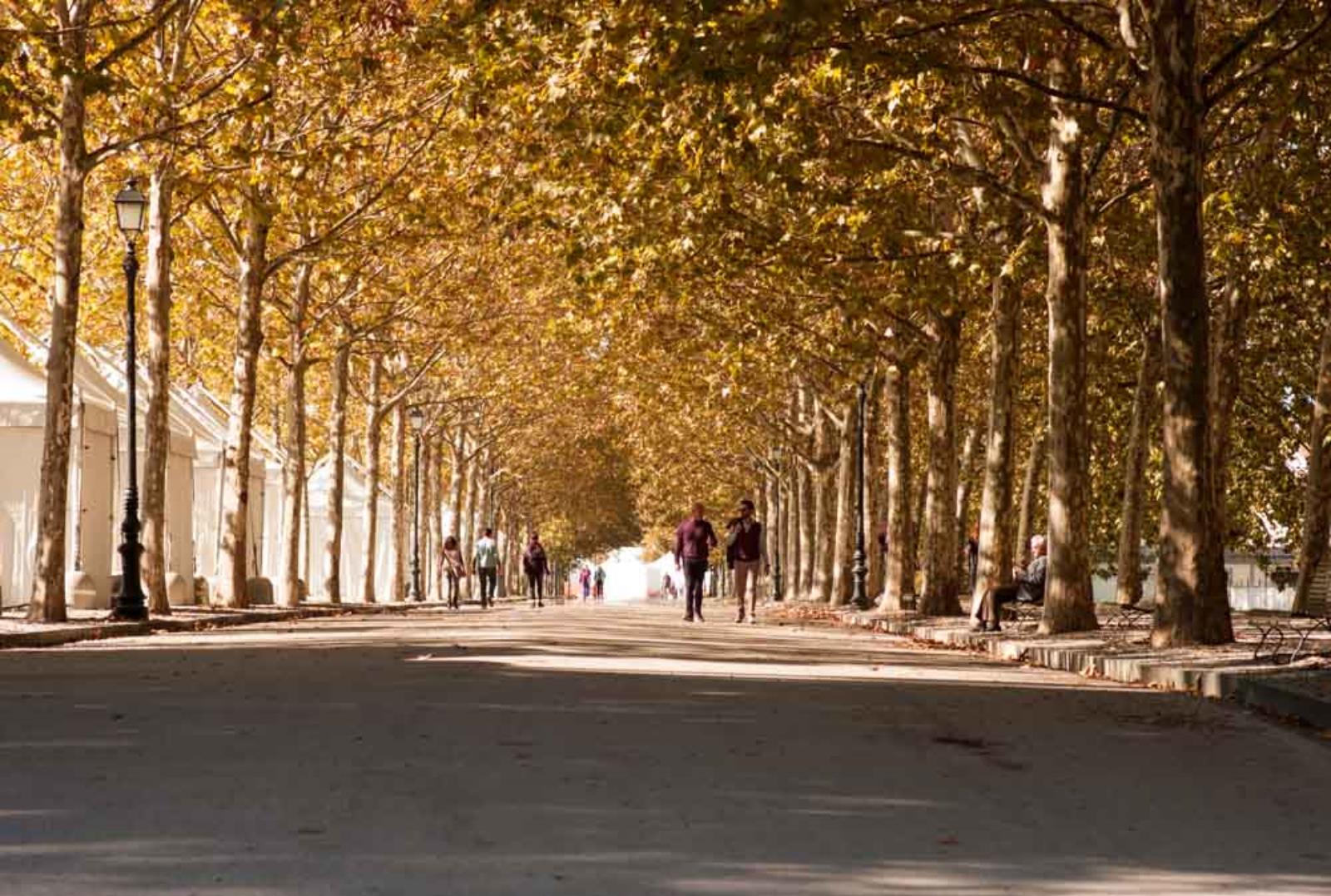 mura di Lucca