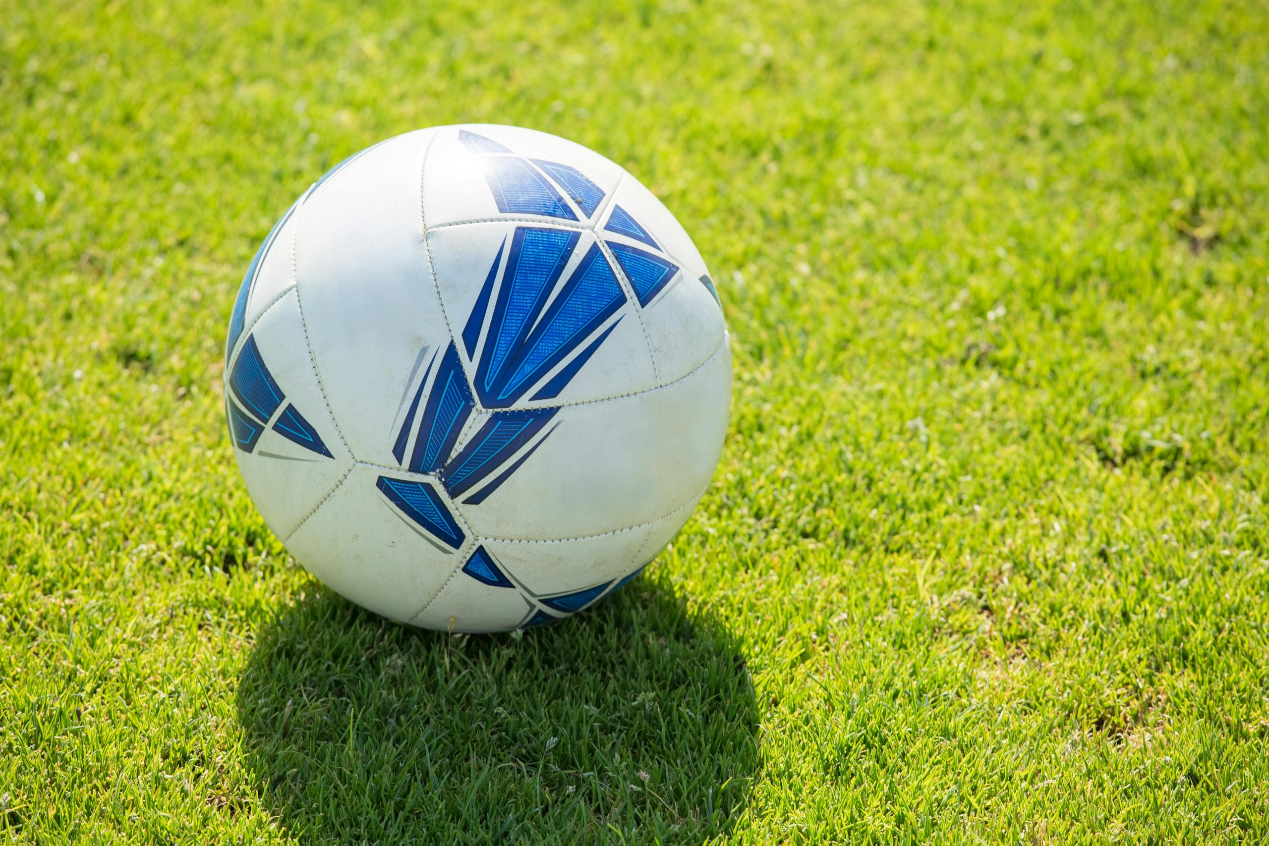 pallone da calcio