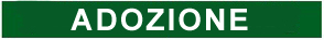 Adozione P.O.