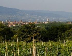 Ambito territoriale turistico "Piana di Lucca"