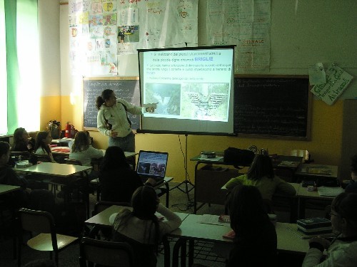 Visita a Scuola