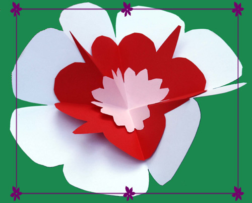 Il nostro piccolo fiore. Bello vero?